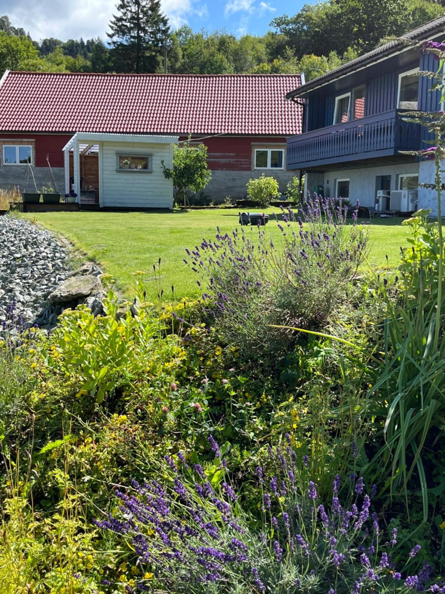 Kjolevik Appartement Jørpeland Buitenkant foto